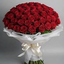 Букет 101 Красная роза Блэк Мэджик в Афанасово