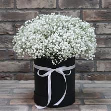 Цветочная композиция из Гипсофила в шляпной коробке в Афанасово