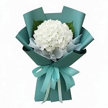 Букет цветов из:  Гортензия в Афанасово